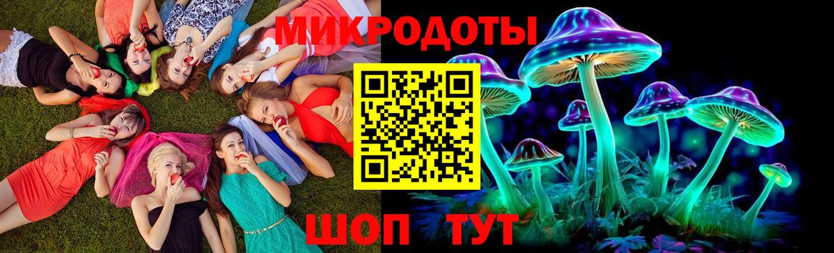 Псилоцибиновые грибы Cubensis Чапаевск